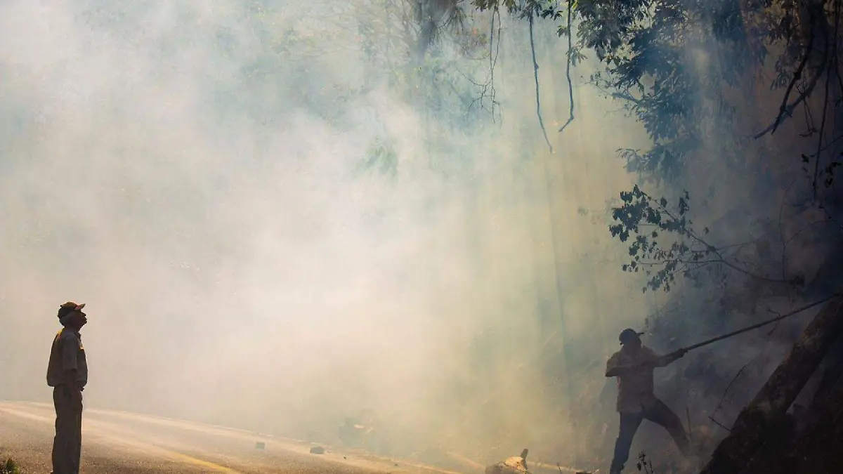 983576_Incendió Cerro Necaxacaltepec_web